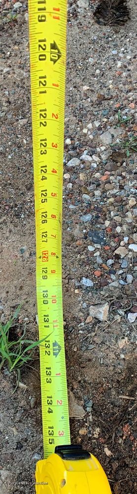 image for item KX9948 2008 Caterpillar  140M motor grader