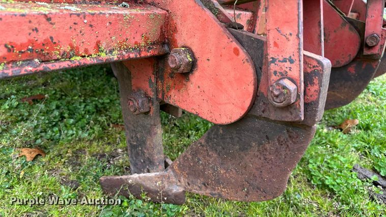 image for item OM9353 Bermuda King  394 sprig planter 