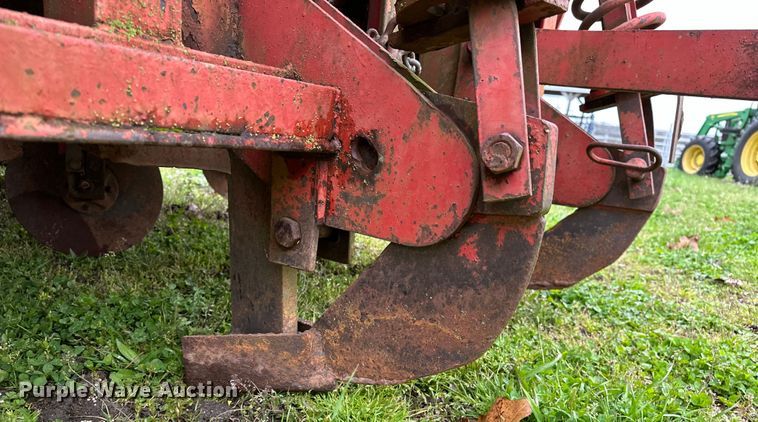 image for item OM9353 Bermuda King  394 sprig planter 