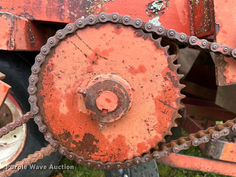 image for item OM9353 Bermuda King  394 sprig planter 