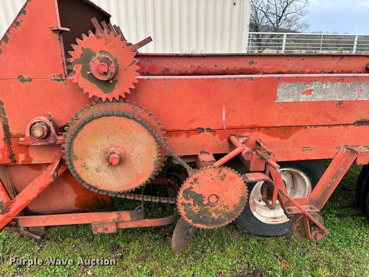 image for item OM9353 Bermuda King  394 sprig planter 