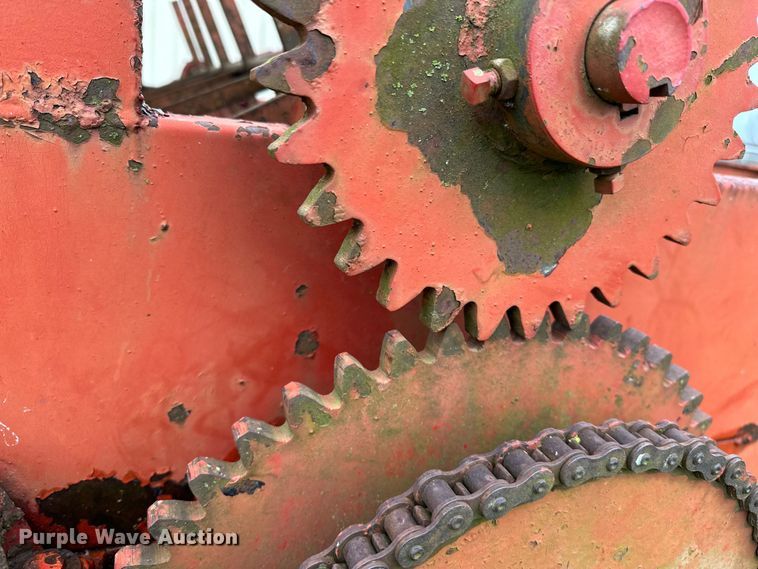 image for item OM9353 Bermuda King  394 sprig planter 