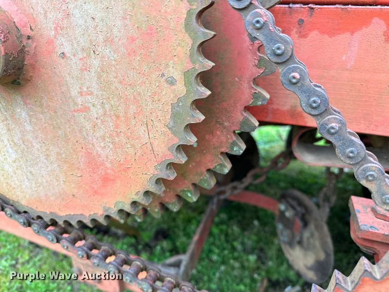 image for item OM9353 Bermuda King  394 sprig planter 