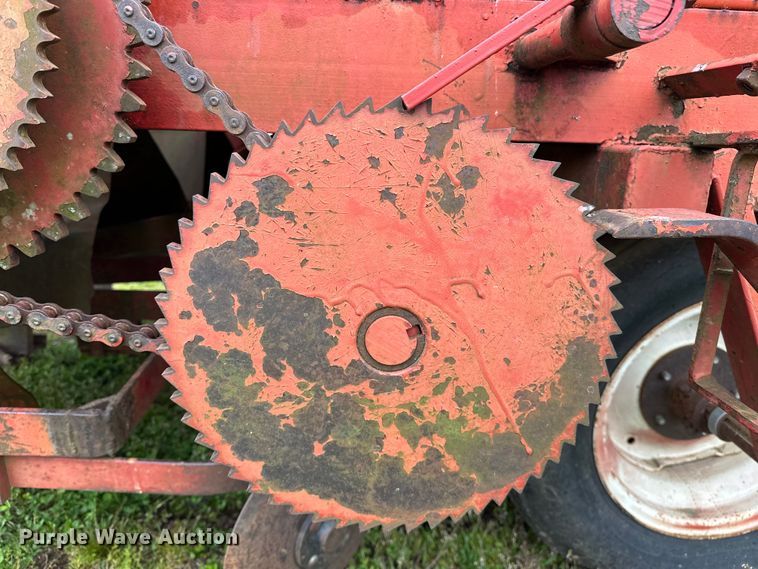 image for item OM9353 Bermuda King  394 sprig planter 