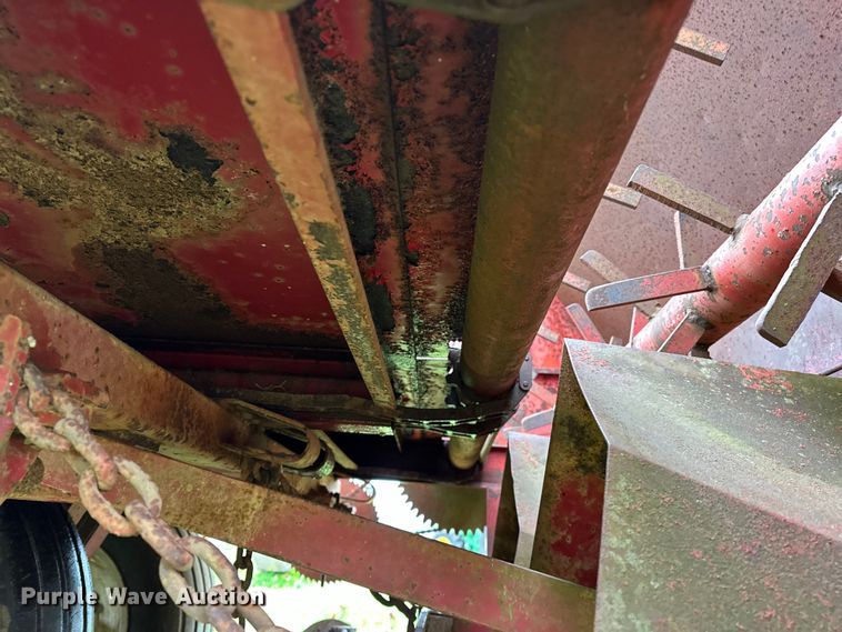 image for item OM9353 Bermuda King  394 sprig planter 