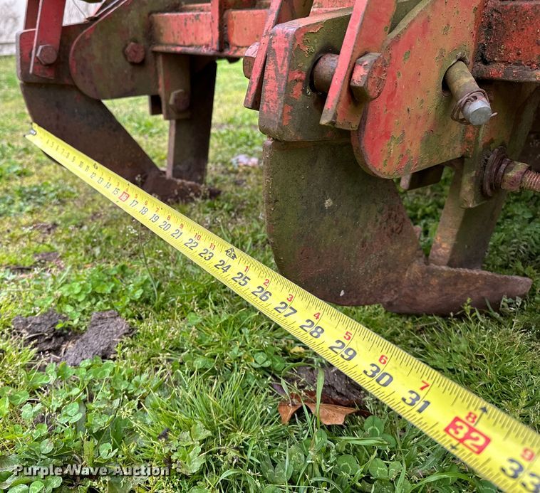 image for item OM9353 Bermuda King  394 sprig planter 