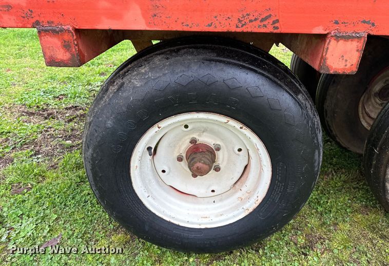 image for item OM9353 Bermuda King  394 sprig planter 