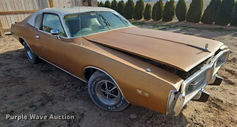 image for item DM1590 1974 Dodge Charger 