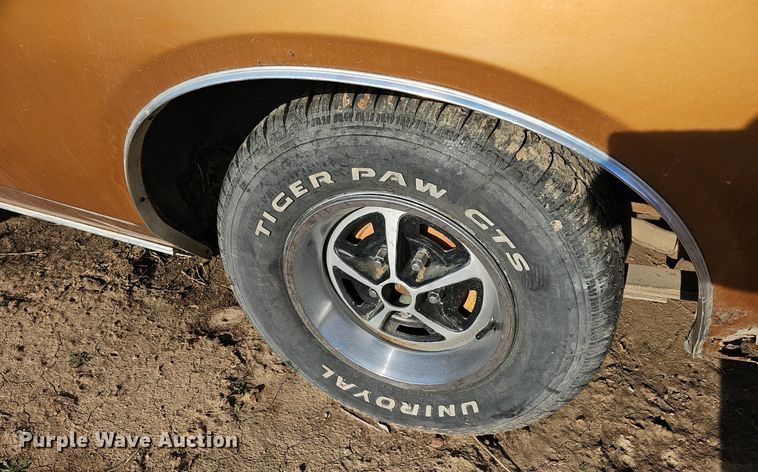 image for item DM1590 1974 Dodge Charger 