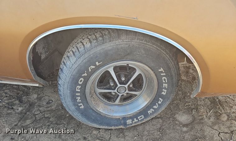 image for item DM1590 1974 Dodge Charger 