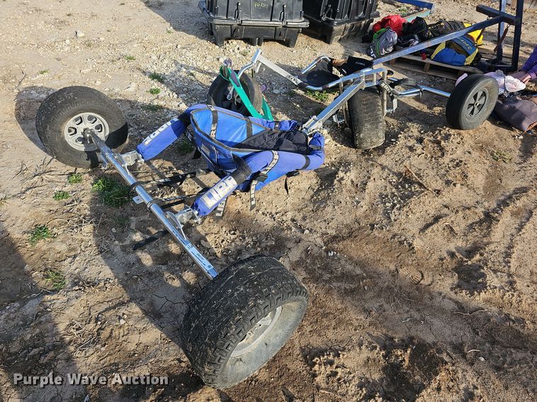 image for item EK5747 Kite wind surfers