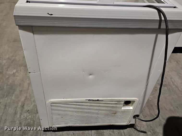 image for item EK5616 True  TFM29FL freezer