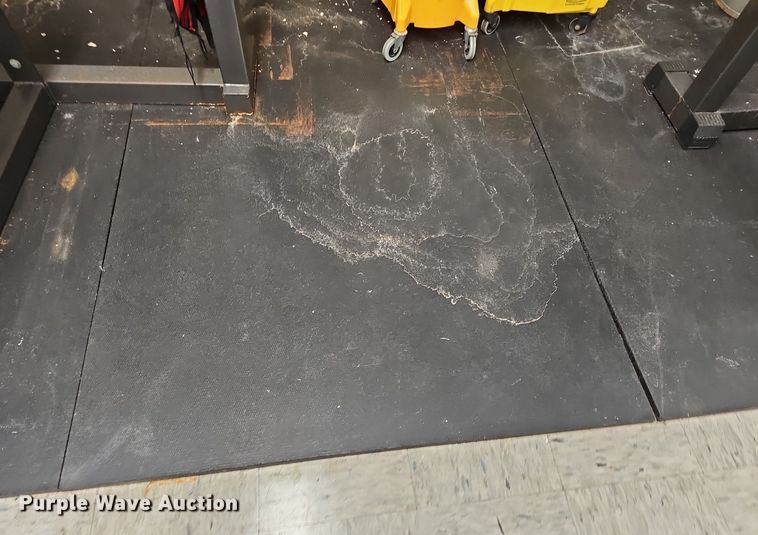 image for item EK5819 (2) TDS Pro bench press racks