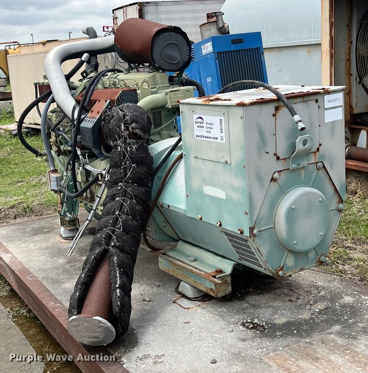 image for item DS2998 Newage International generator