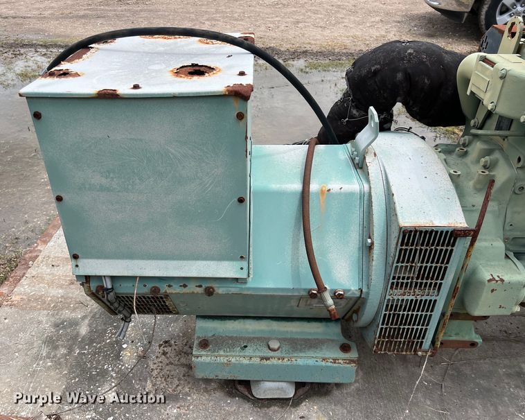 image for item DS2998 Newage International generator