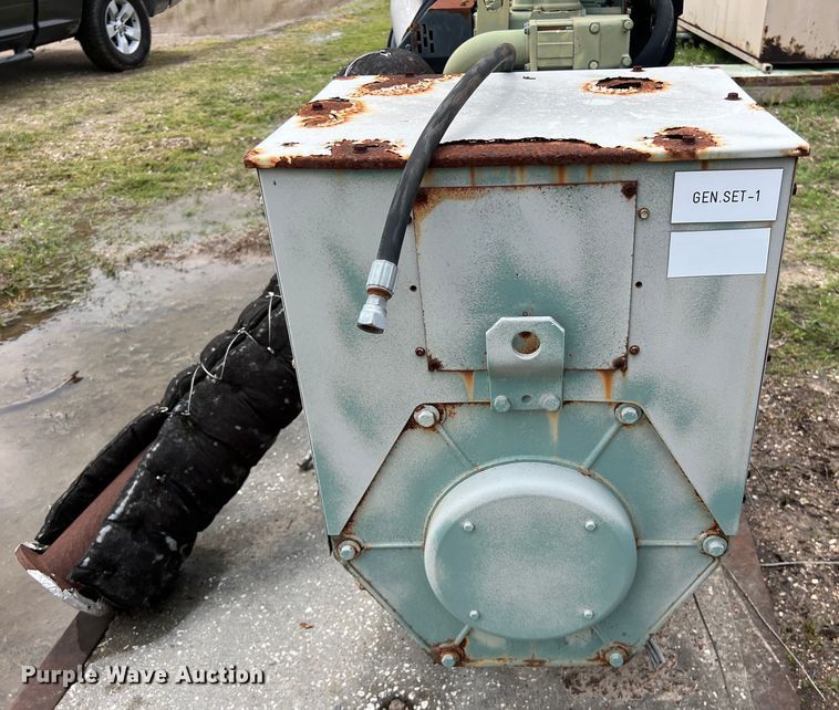 image for item DS2998 Newage International generator