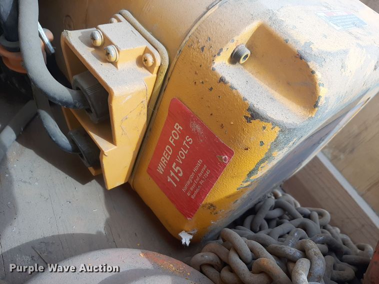 image for item DV9997 Harrington  chain hoist