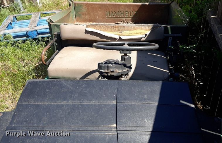 image for item NH9212 (2) Cushman golf carts