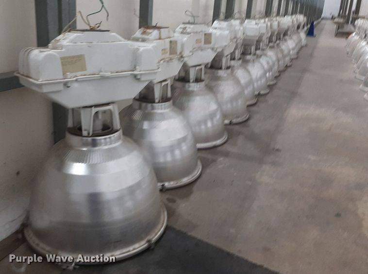 image for item NV9179 Approximately 92 lights