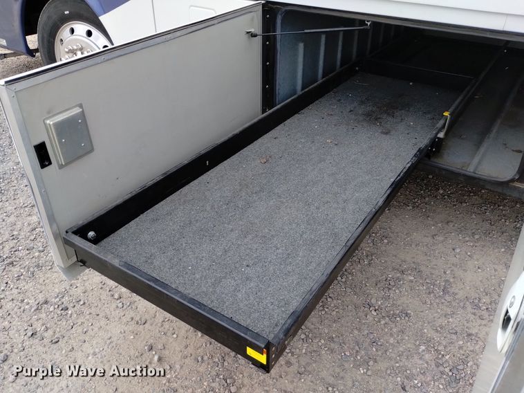 image for item DQ6107 2009 Safari  Cheetah RV