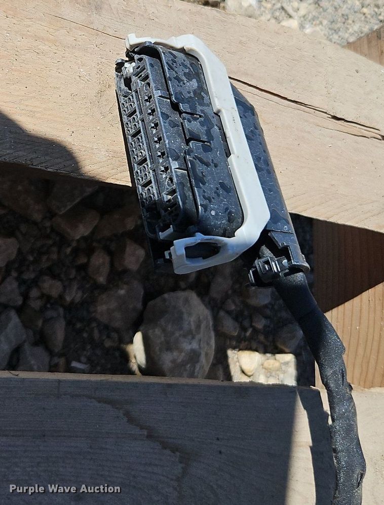 image for item EI3835 Chevrolet  Silverado  tailgate