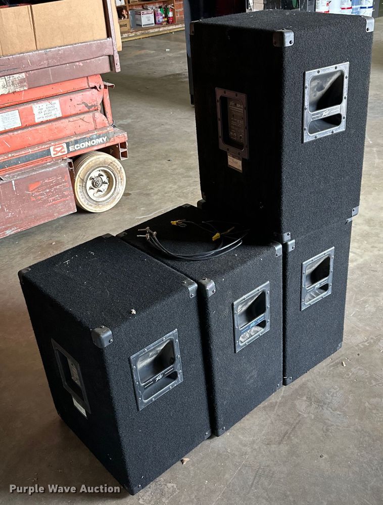 image for item JT9054 (4) Peavey SP-5Ti speakers