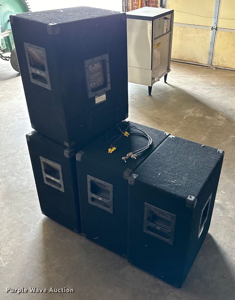 image for item JT9054 (4) Peavey SP-5Ti speakers