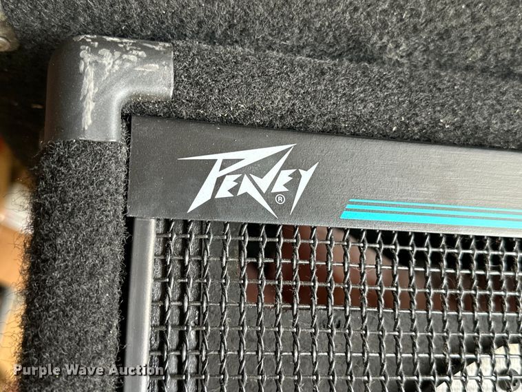 image for item JT9054 (4) Peavey SP-5Ti speakers