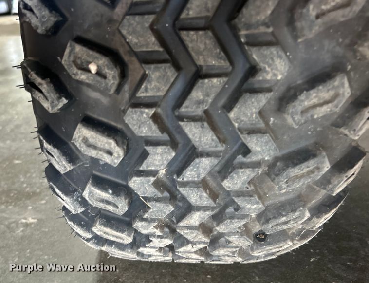 image for item EG1608 Icon LT-A617.4+2G golf cart