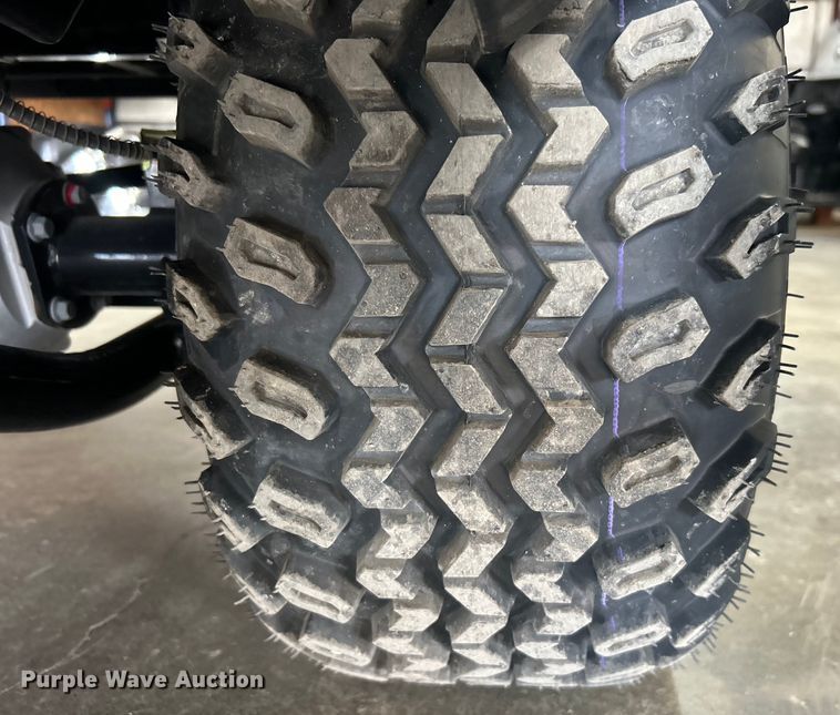 image for item EG1608 Icon LT-A617.4+2G golf cart