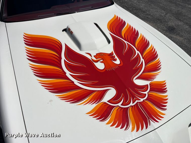 image for item EK8527 1979 Pontiac Firebird Trans Am 