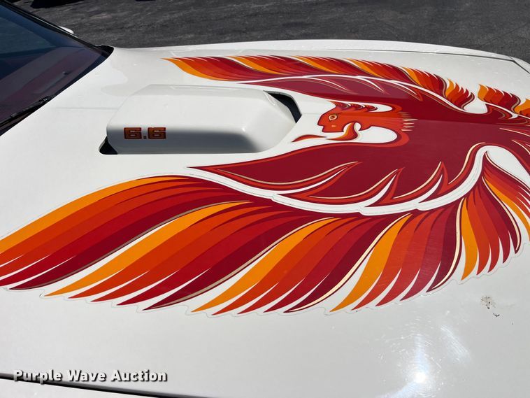 image for item EK8527 1979 Pontiac Firebird Trans Am 