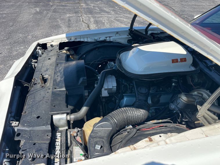 image for item EK8527 1979 Pontiac Firebird Trans Am 