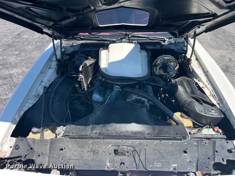 image for item EK8527 1979 Pontiac Firebird Trans Am 