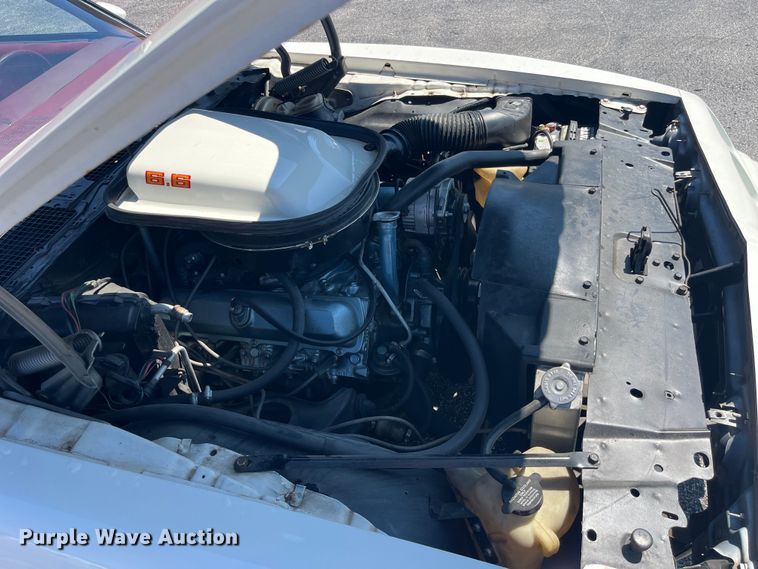 image for item EK8527 1979 Pontiac Firebird Trans Am 