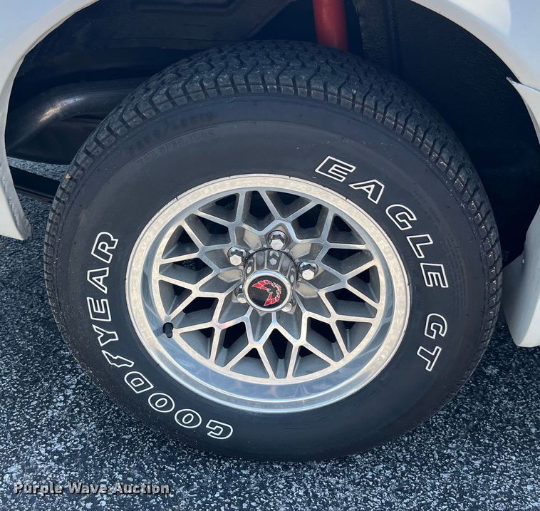 image for item EK8527 1979 Pontiac Firebird Trans Am 