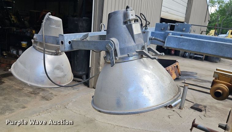 image for item DR8612 Amida light plant