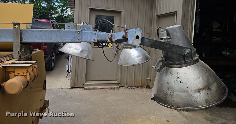 image for item DR8612 Amida light plant