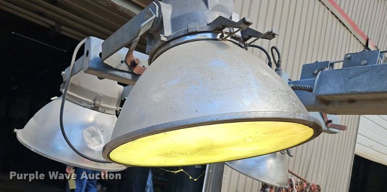 image for item DR8612 Amida light plant