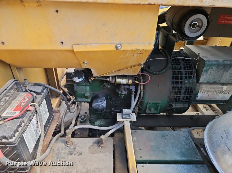 image for item DR8612 Amida light plant