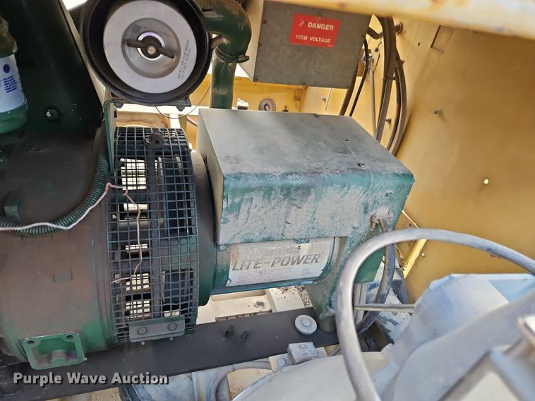 image for item DR8612 Amida light plant