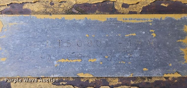 image for item DR8612 Amida light plant