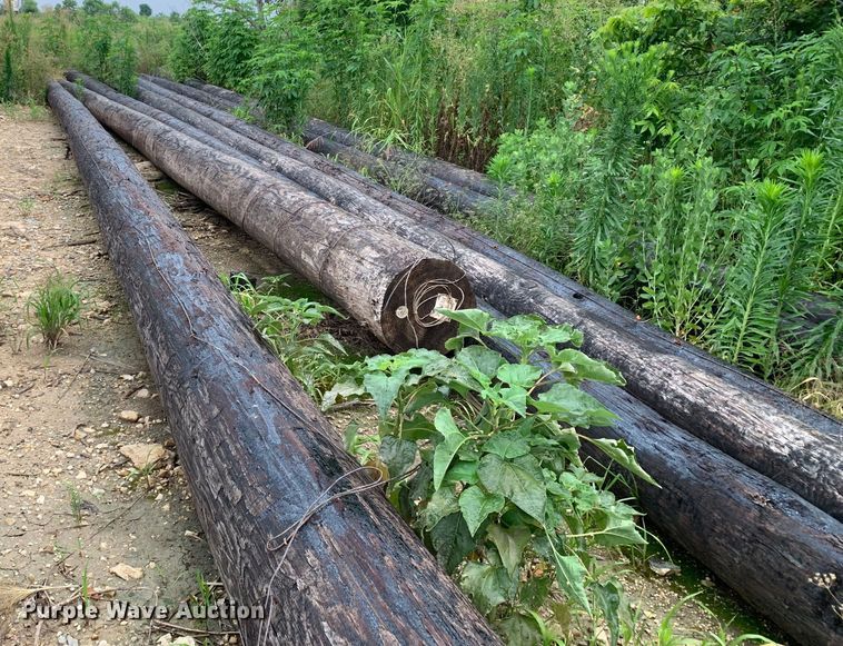 image for item JT9837 (7) Class 1 telephone poles 