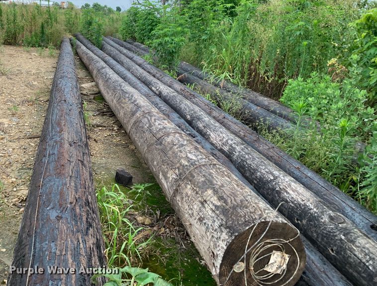 image for item JT9837 (7) Class 1 telephone poles 