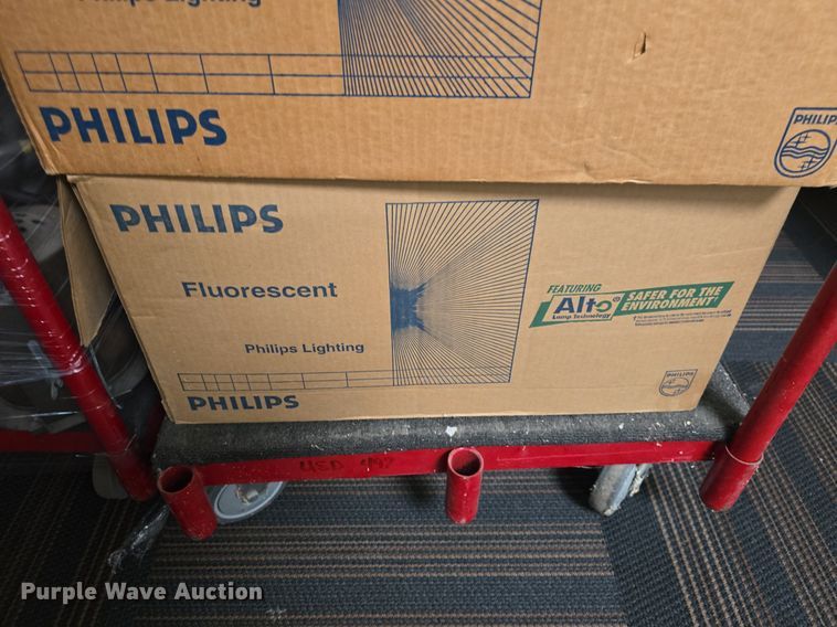 image for item EK6043 (5) partial boxes of U-light bulbs