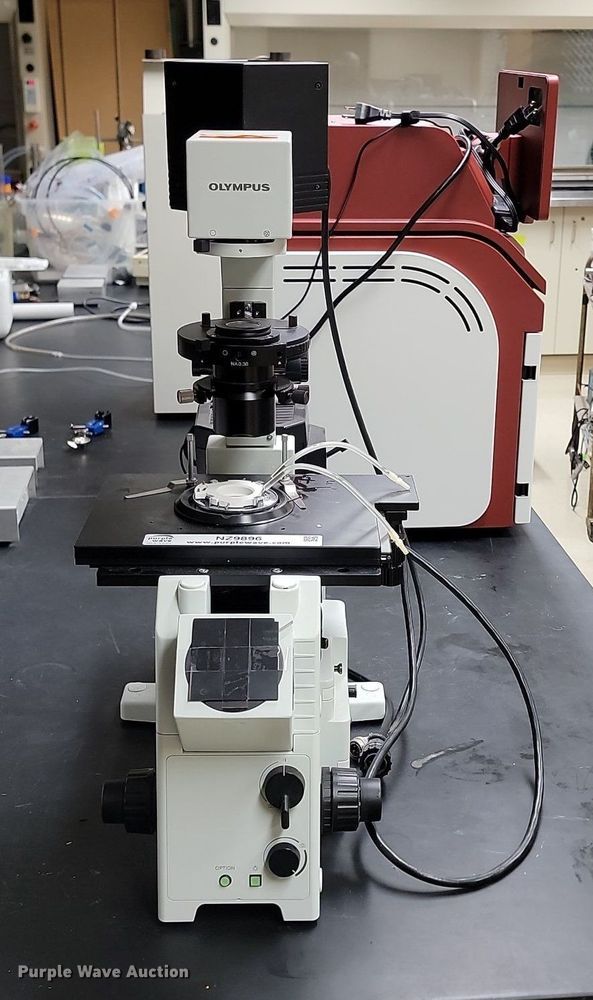 image for item NZ9896 Olympus IX71 microscope 