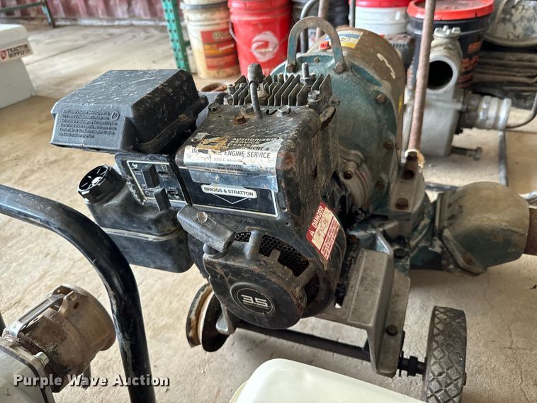 image for item DX0717 (7) pumps