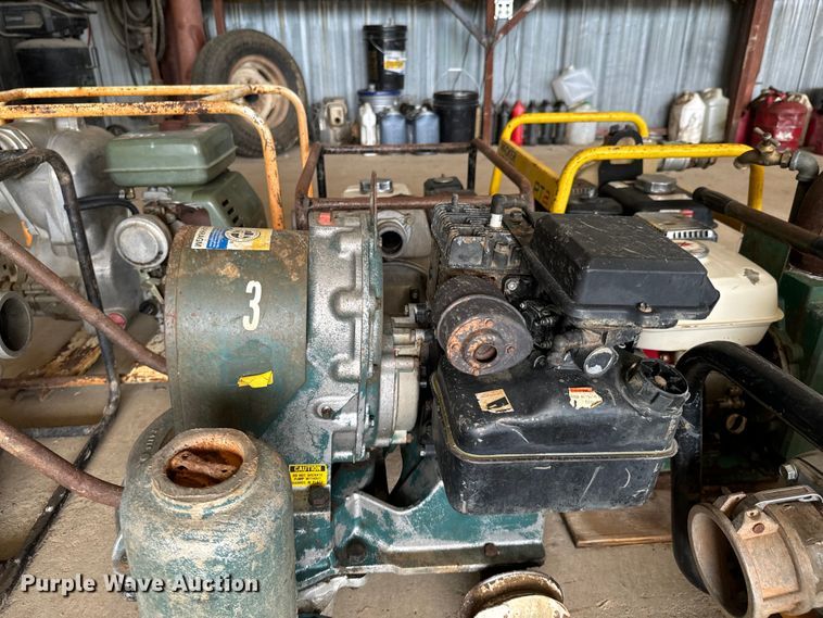 image for item DX0717 (7) pumps