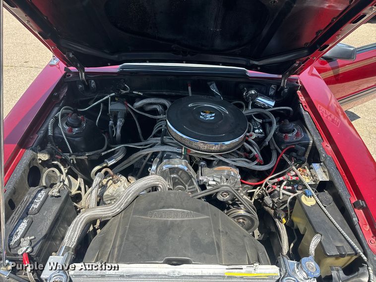 image for item EK1352 1979 Ford Mustang 