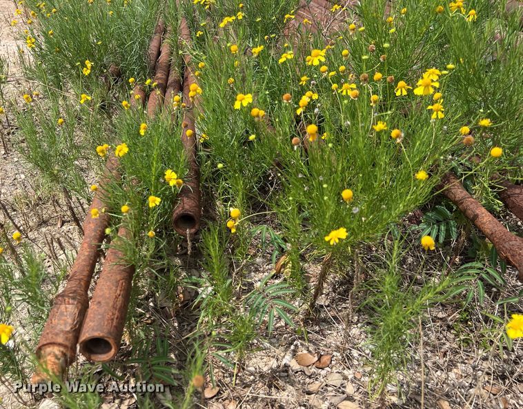 image for item LU9925 Pipes